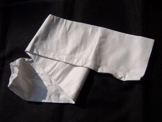 Van hoog rendementbaghouse PTFEptfe de Filterzak 750GSM van de Filterzakken